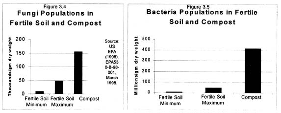 [graph of fungi and bacteria populations]