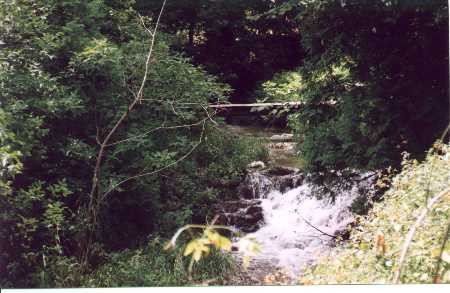 the old dam